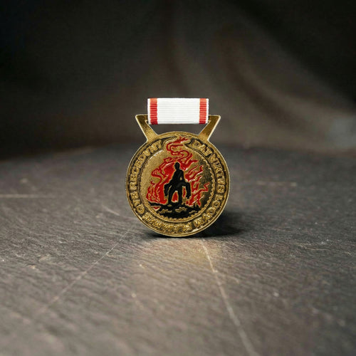 Benemerenza di servizio - Oro