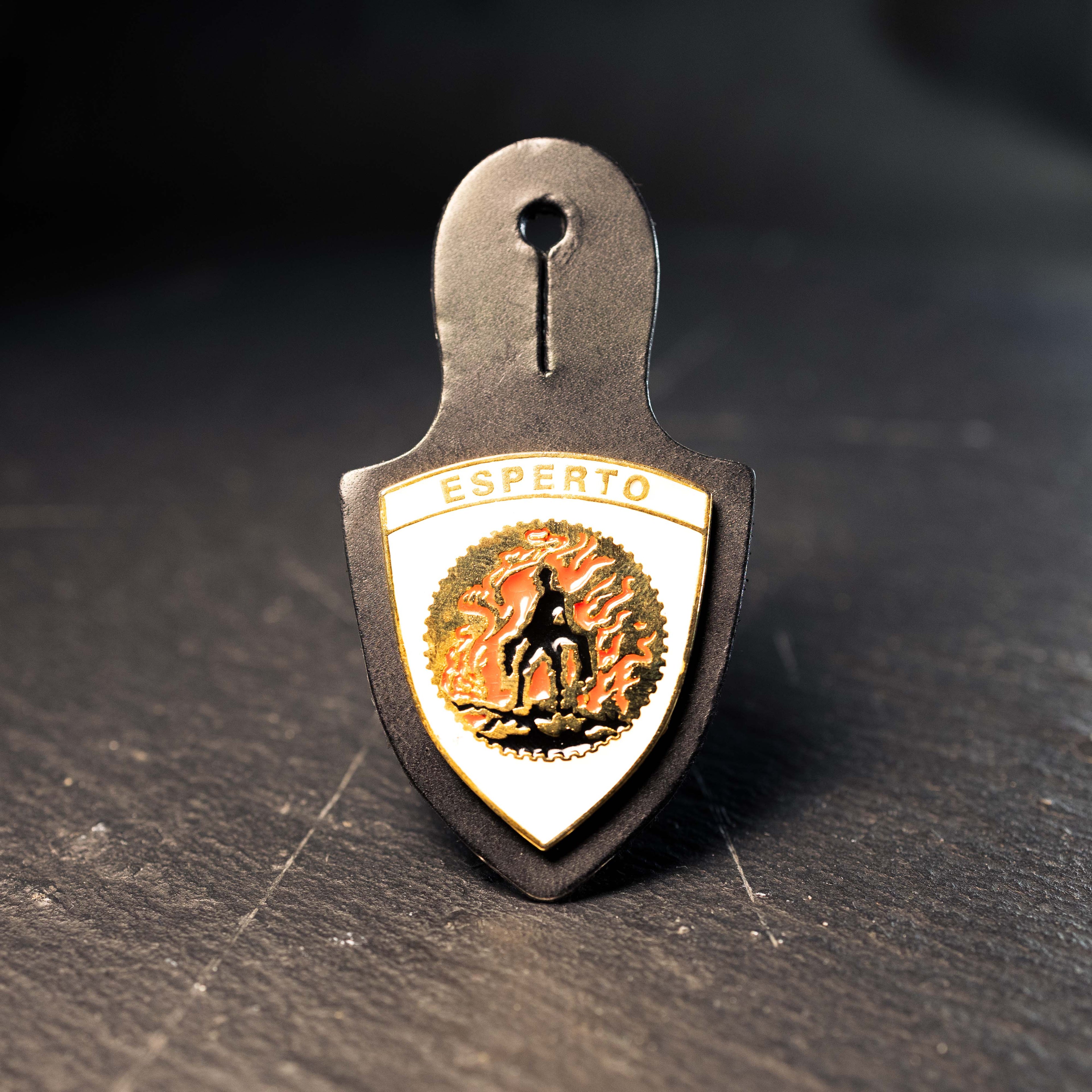 Distintivo - Esperto