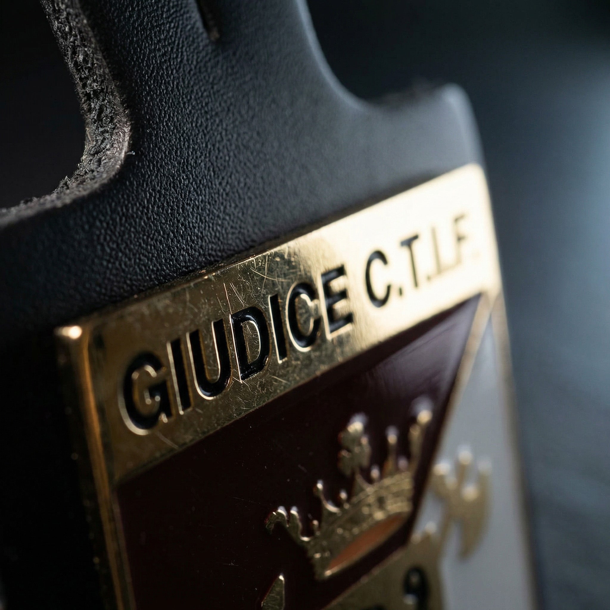Distintivo di incarico - Giudice C.T.I.F.