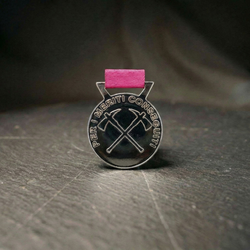 Medaglia al merito della Federazione - Argento
