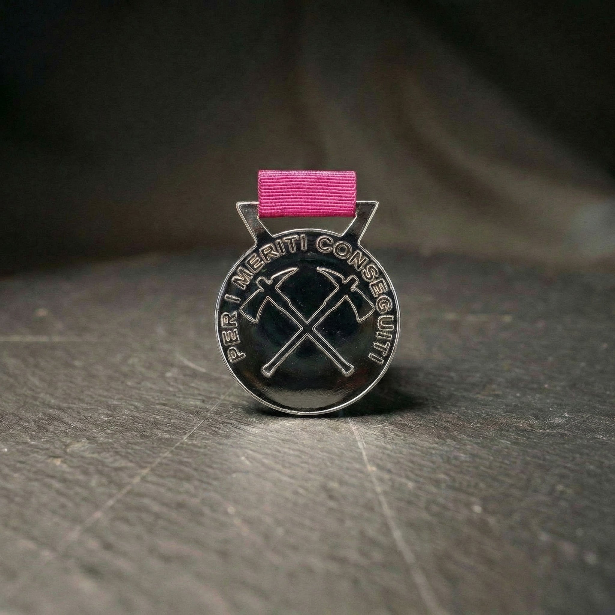 Medaglia al merito della Federazione - Argento