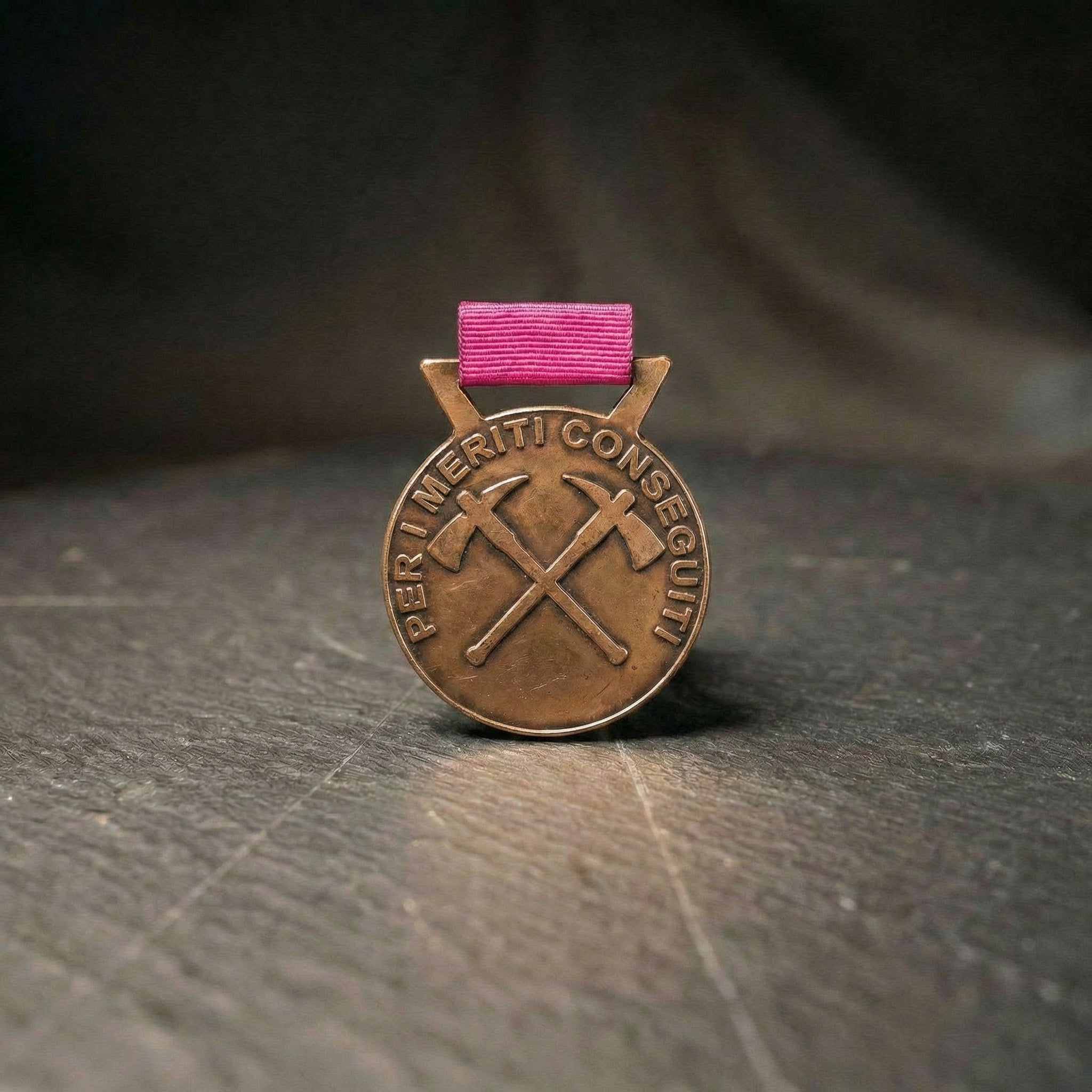 Medaglia al merito della Federazione - Bronzo
