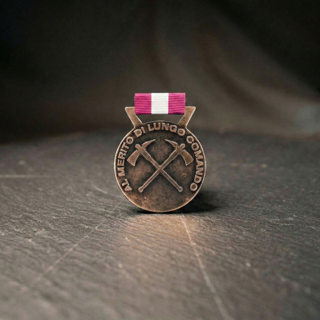 Medaglia al merito Lungo Comando - Bronzo