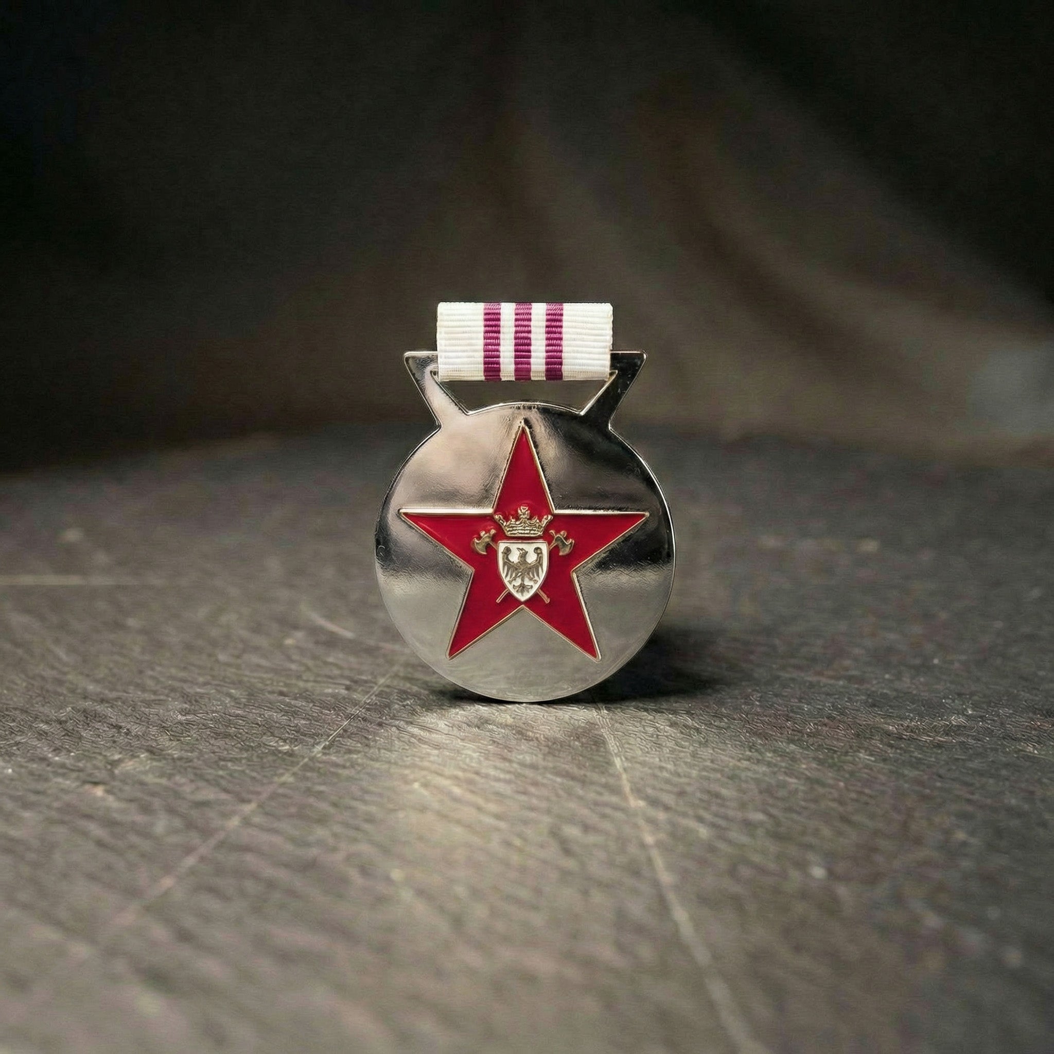 Stella al merito di Servizio - Argento